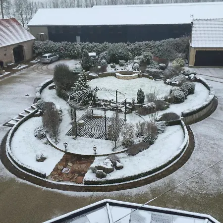 Au Grand Saule * Les Attaques